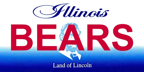 chicago license plate blank