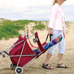 All-in-One Tailgating Lawn Chair