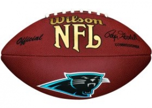 Carolina Panthers Collectible Composite NFL Wilson Football
