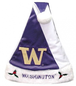 Washington Huskies Color Block Santa Hat