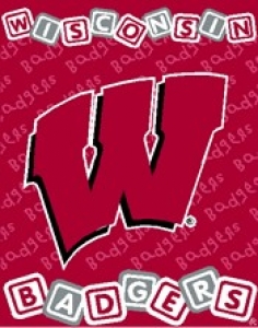 Wisconsin Badgers 36" x 48" Triple Woven Baby Throw Blanket