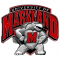 Maryland Terrapins NCAA Logo Style Hitch Cover