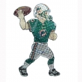 Miami Dolphins NFL 44" Animated Lawn Figure
