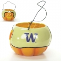 Washington Huskies Halloween Trick or Treat Pumpkin Basket