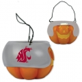 Washington State Cougars Halloween Trick or Treat Pumpkin Basket