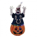 Indianapolis Colts 16" Fiber Optic Ghost Pumpkin