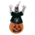 Oakland Raiders 16" Fiber Optic Ghost Pumpkin