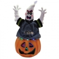 Seattle Seahawks 16" Fiber Optic Ghost Pumpkin