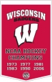Wisconsin Badgers 24" x 36" Dynasty Wool Banner
