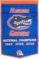 Florida Gators 24"x36" Dynasty Wool Banner
