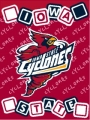 Iowa State Cyclones Triple 36" x 48" Woven Baby Throw Blanket