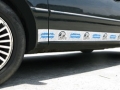 Carolina Panthers NFL Rocker Panel Trim Magnets