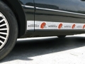 Cincinnati Bengals NFL Rocker Panel Trim Magnets