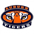 Auburn Tigers "Eyes" Logo Style Hitch Cover