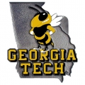 Georgia Tech Yellow Jackets Logo Style Hitch Cover