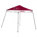 Arizona Cardinals Slant Leg Canopy Party Tent-FREE SHIPPING