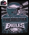 Philadelphia Eagles Philadelphia Eagles 50" x 60" Picnic Throw Blanket