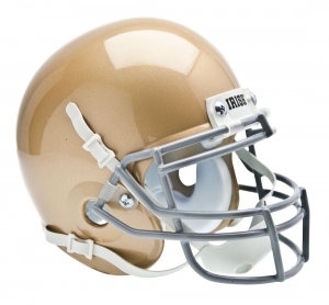 Notre Dame Fighting Irish Replica Schutt Mini Helmet