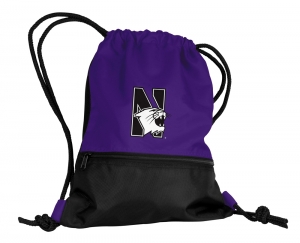 Northwestern Wildcats NCAA School String Pack Backpack