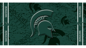 Michigan State Spartans NCAA 30" x 60" Beach Towel
