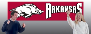 Arkansas Razorbacks 8' x 2' Embroidered Party Banner
