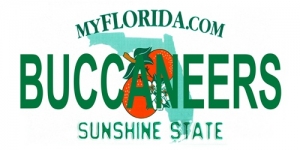 Tampa Bay Buccaneers State Background License Plate