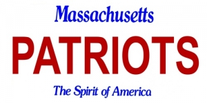 New England Patriots State Background License Plate