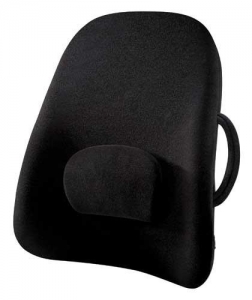 The ObusForme Lowback Backrest Support System