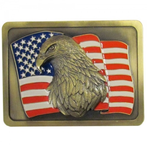 American Flag w/ Eagle Logo Style Hitch Cover