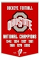 Ohio State Buckeyes 24" x 36" Dynasty Wool Banner