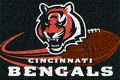 Cincinnati Bengals NFL 20" x 30" Team Tufted Rug