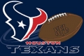 Houston Texans NFL 20" x 30" Team Tufted Rug
