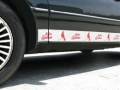 St. Louis Cardinals MLB Rocker Panel Trim Magnets