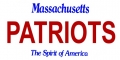 New England Patriots State Background License Plate